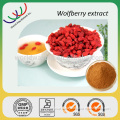 Free Sample Goji Powder/Dried Goji Berry Extract/Chinese Wolfberry Extract